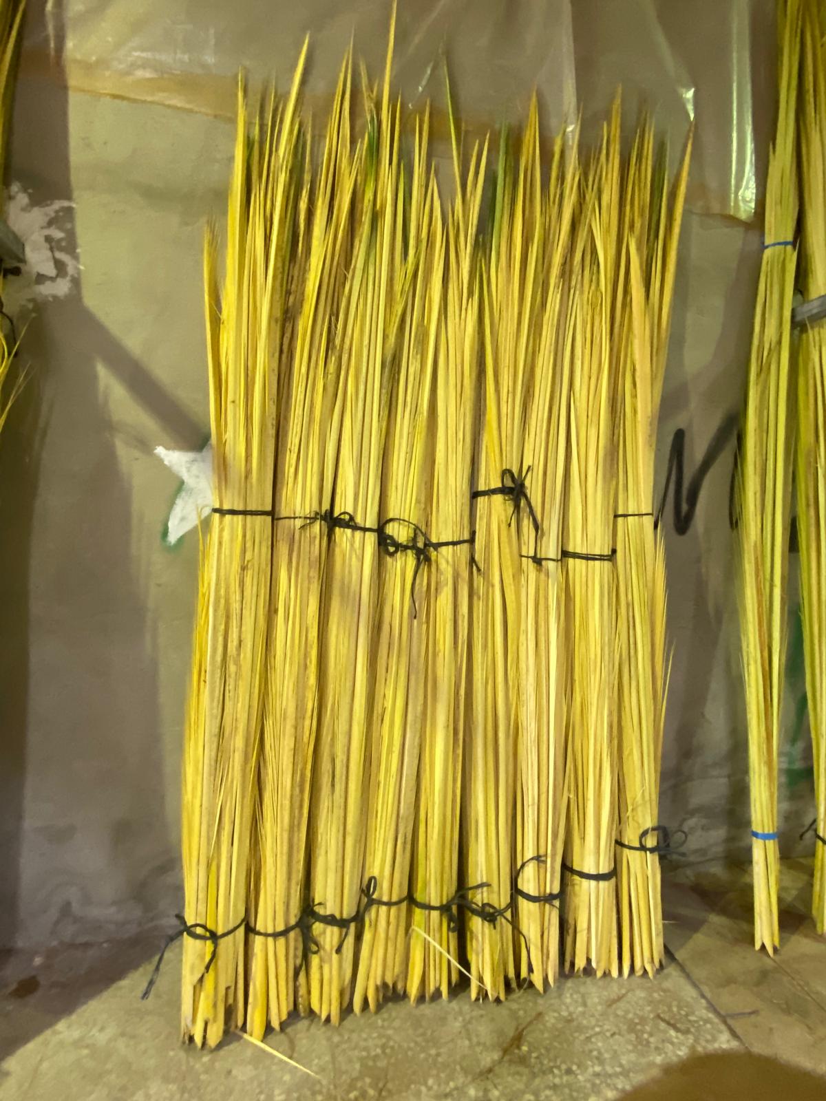 WhatsApp Image 2026-01-12 at 1.53.01 PM