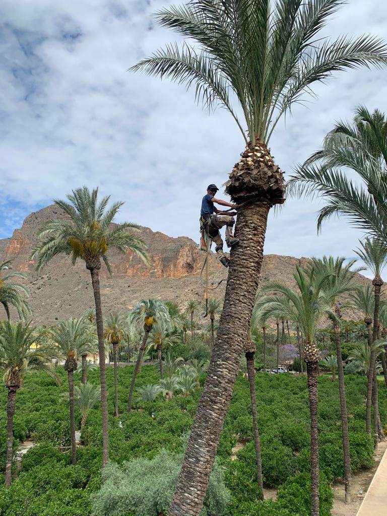 WhatsApp Image 2026-01-12 at 1.53.47 PM