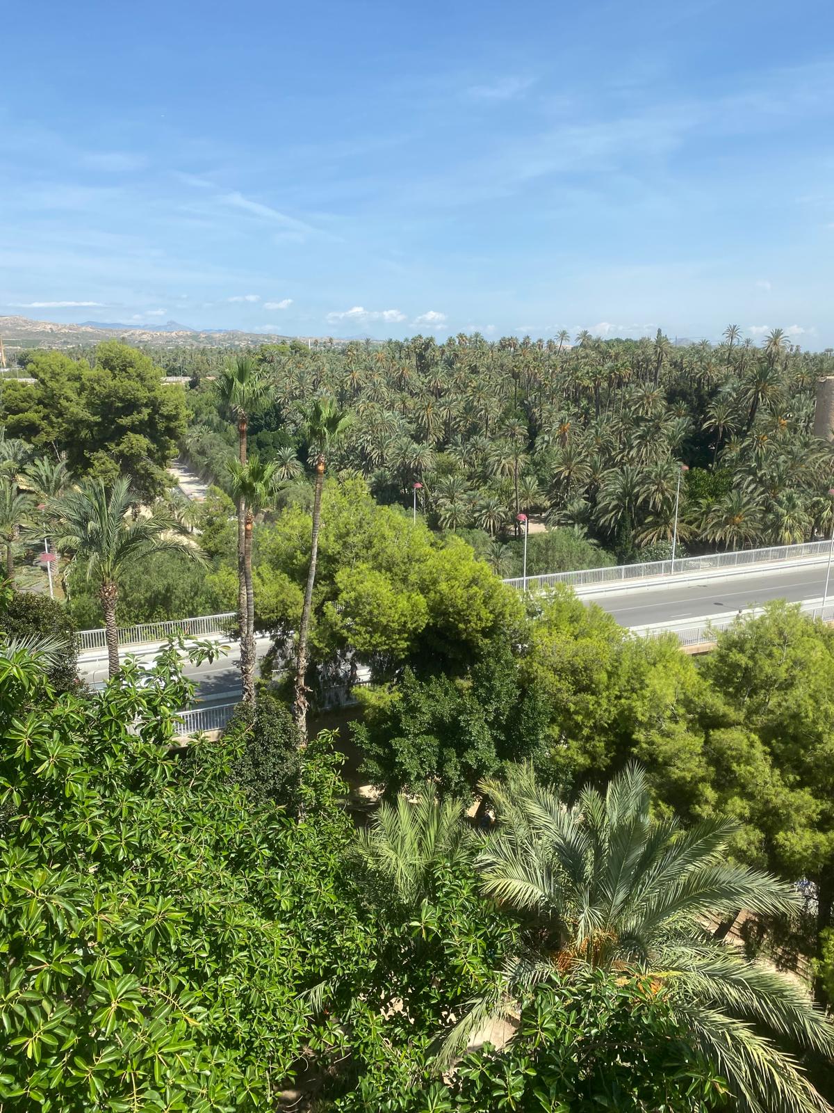 WhatsApp Image 2026-01-12 at 1.53.54 PM