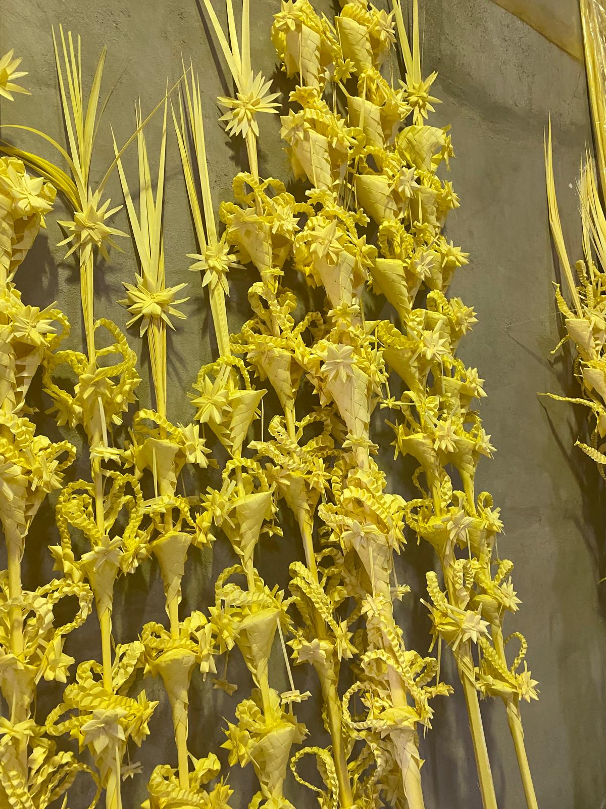 WhatsApp Image 2026-01-12 at 1.54.22 PM